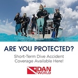 DAN-ShortTerm-DigitalBanner